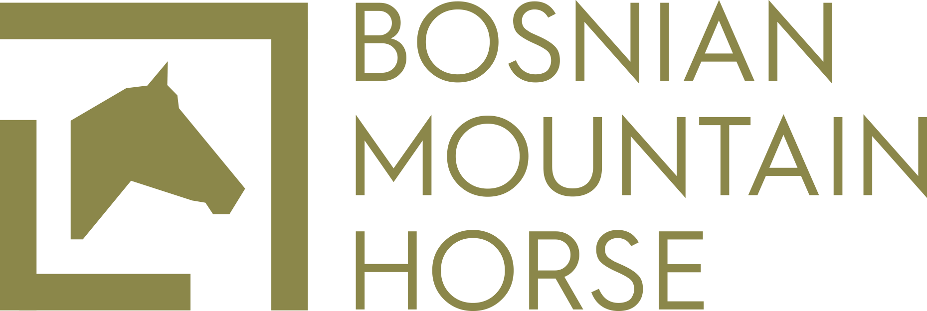 Bosnian Mountain Horse Bosnia and Herzegovina