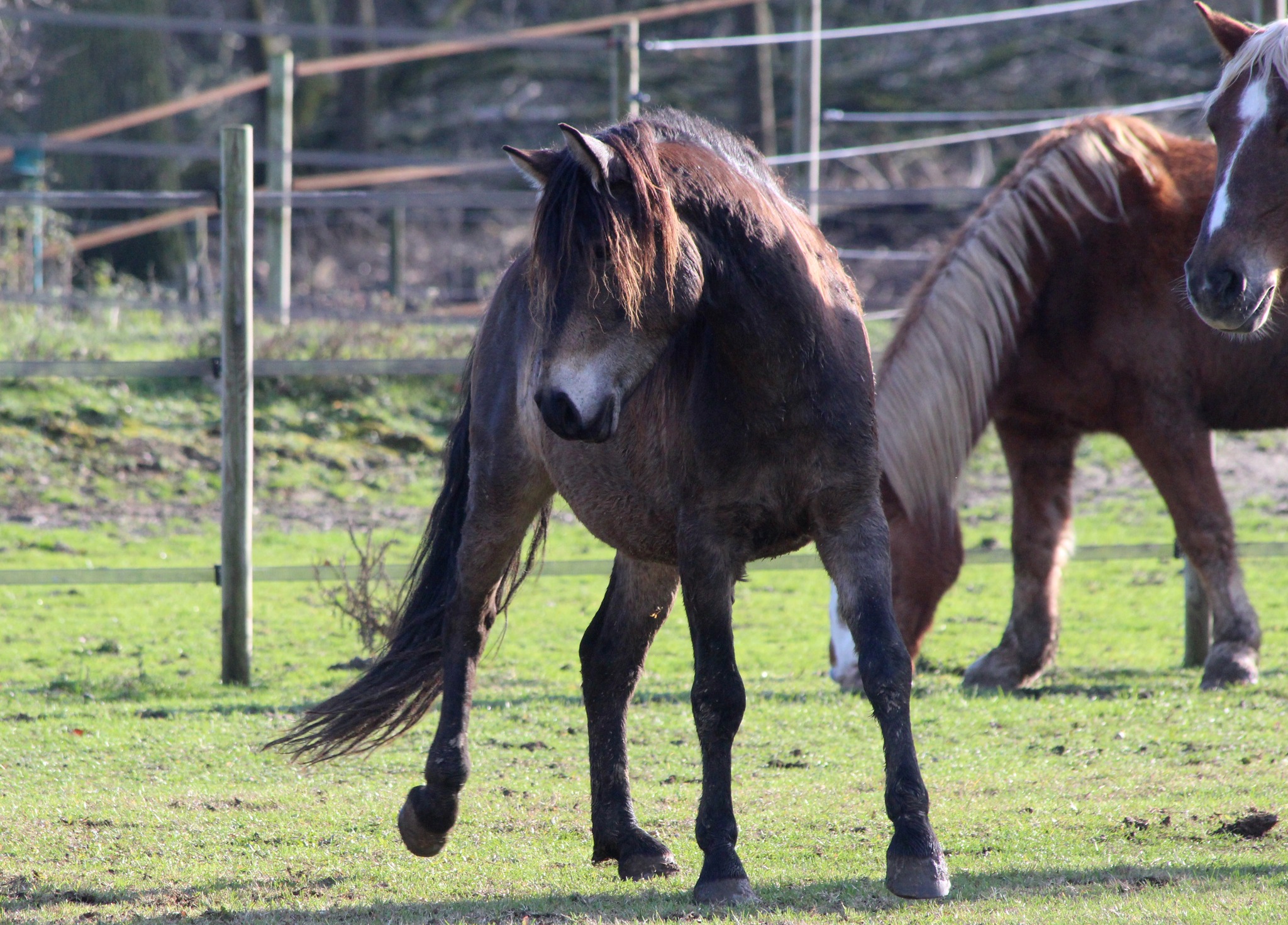 317732248_3314015432200050_8649264684917475339_n